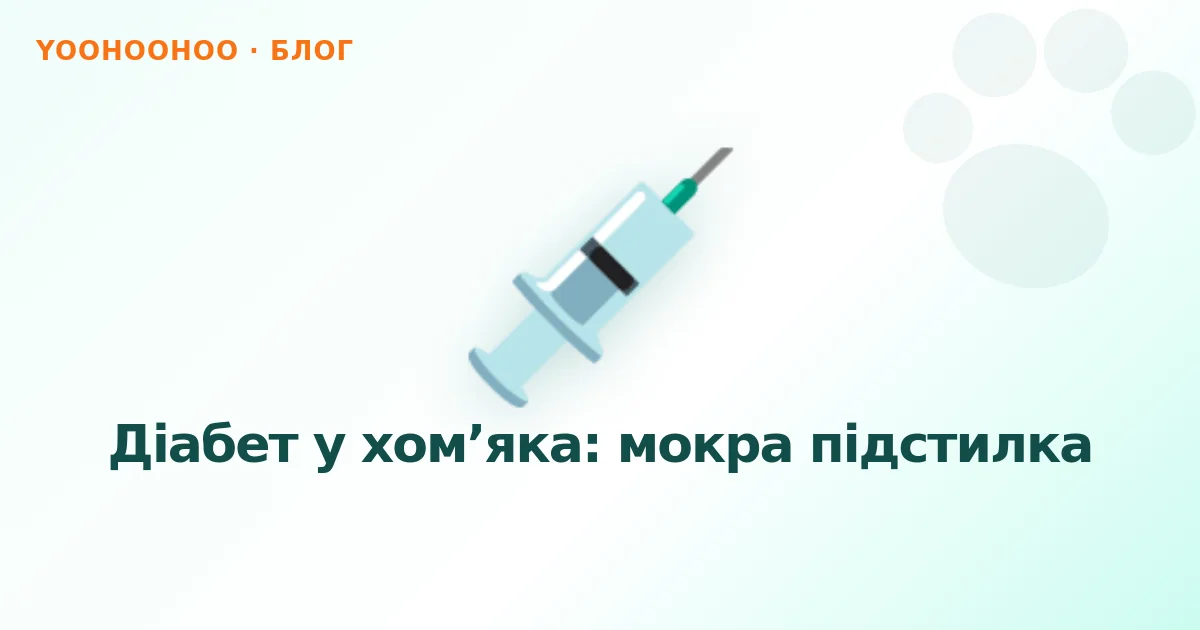 Діабет у хом’яка: мокра підстилка