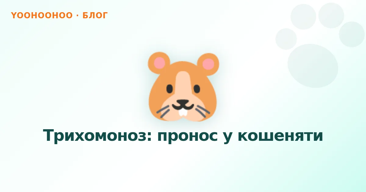 Трихомоноз: пронос у кошеняти