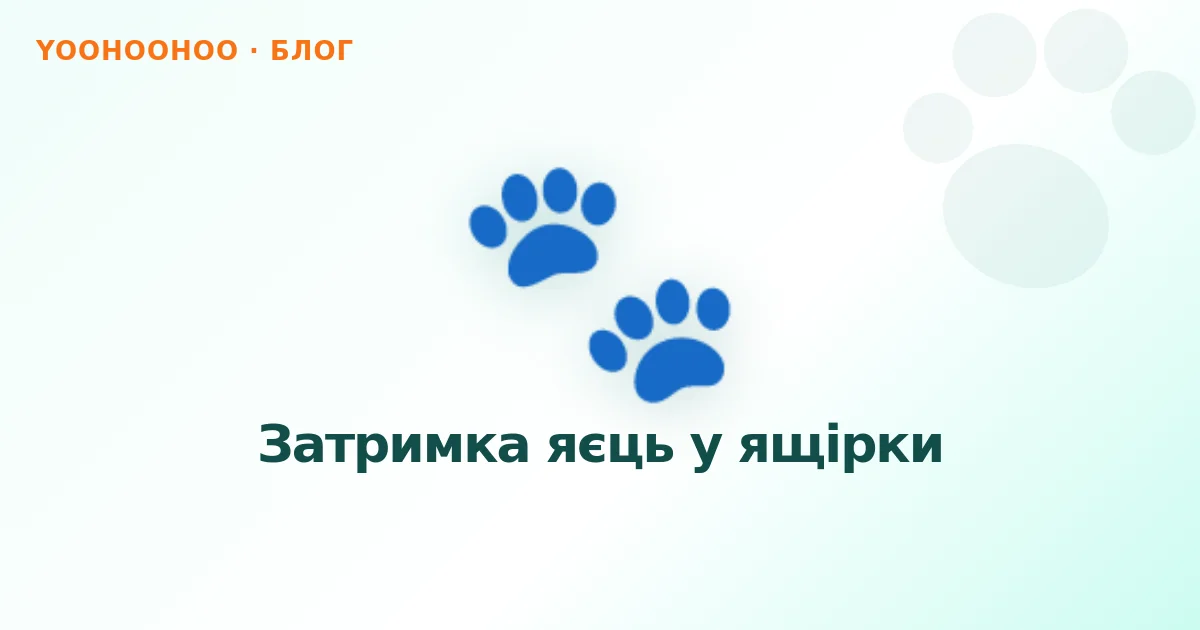 Затримка яєць у ящірки