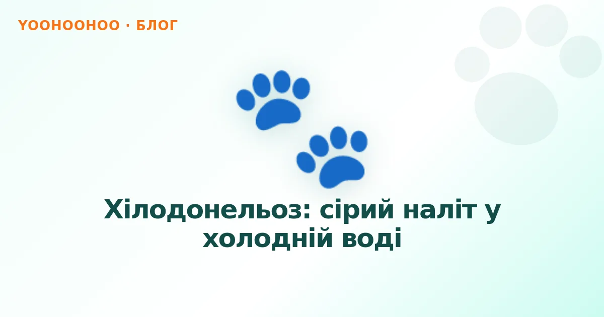 Хілодонельоз: сірий наліт у холодній воді