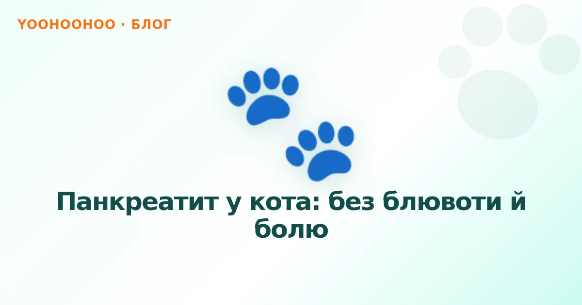 Панкреатит у кота: без блювоти й болю