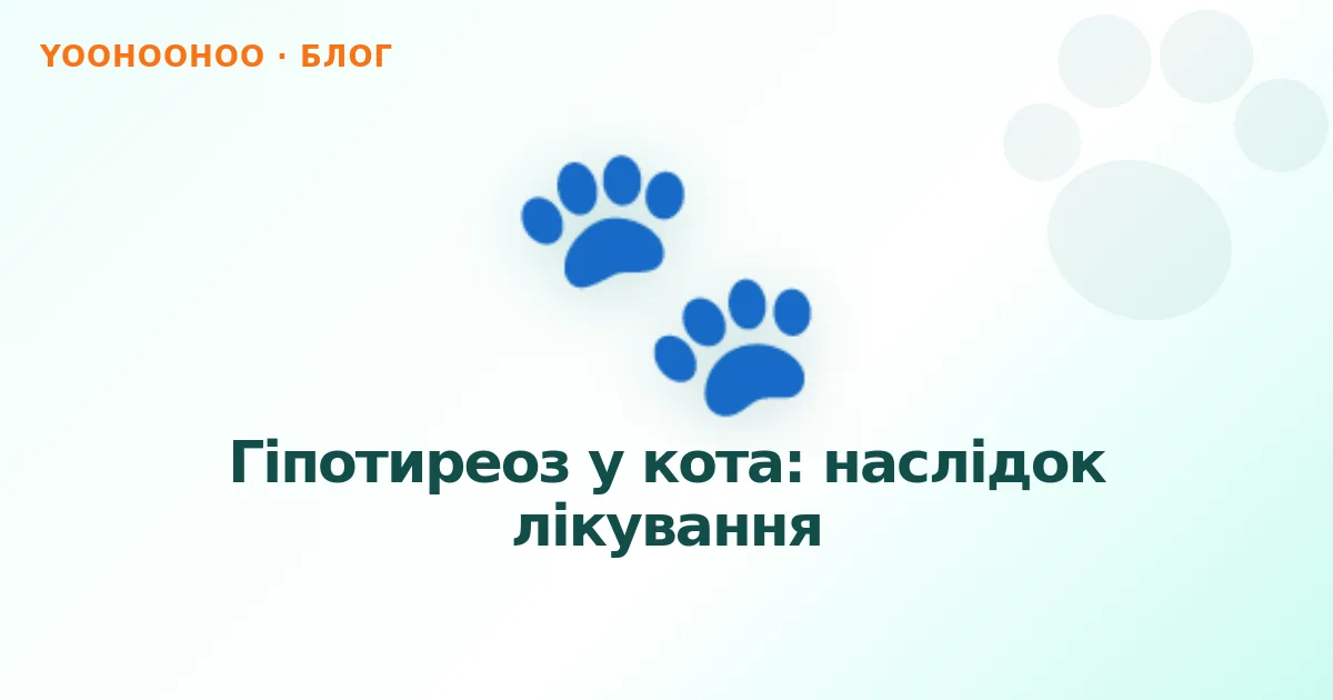Гіпотиреоз у кота: наслідок лікування