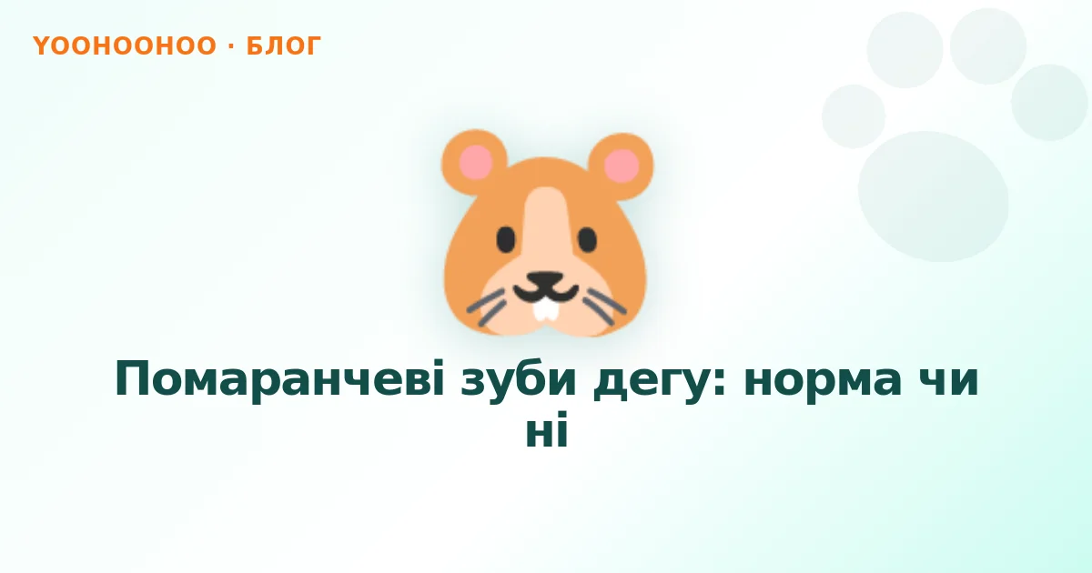 Помаранчеві зуби дегу: норма чи ні