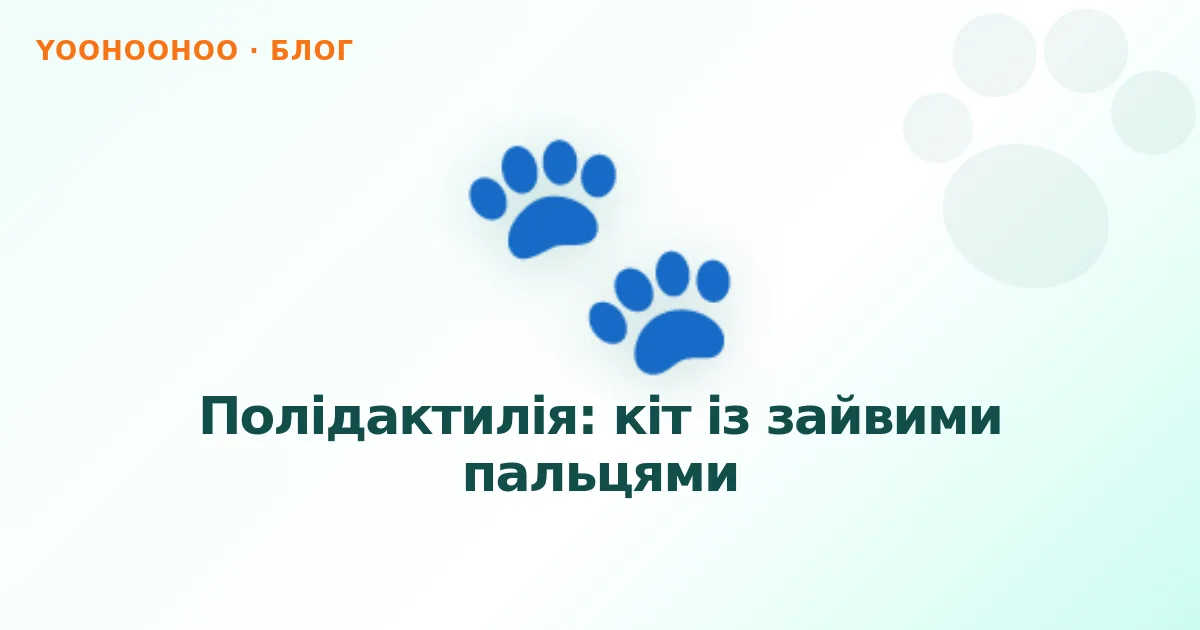 Полідактилія: кіт із зайвими пальцями