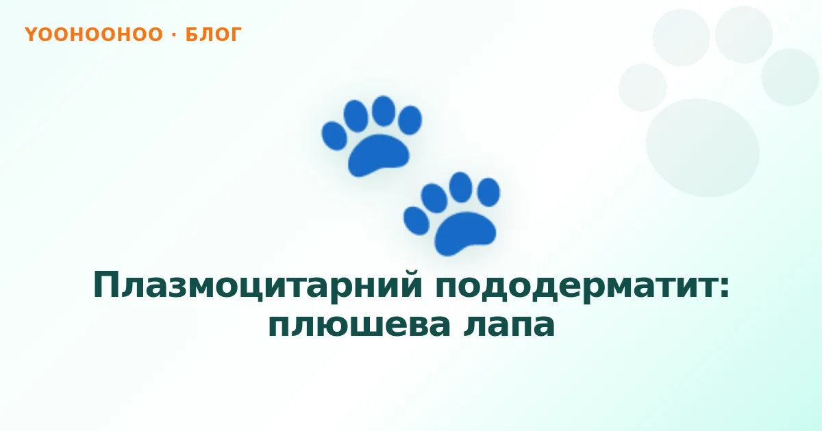 Плазмоцитарний пододерматит: плюшева лапа