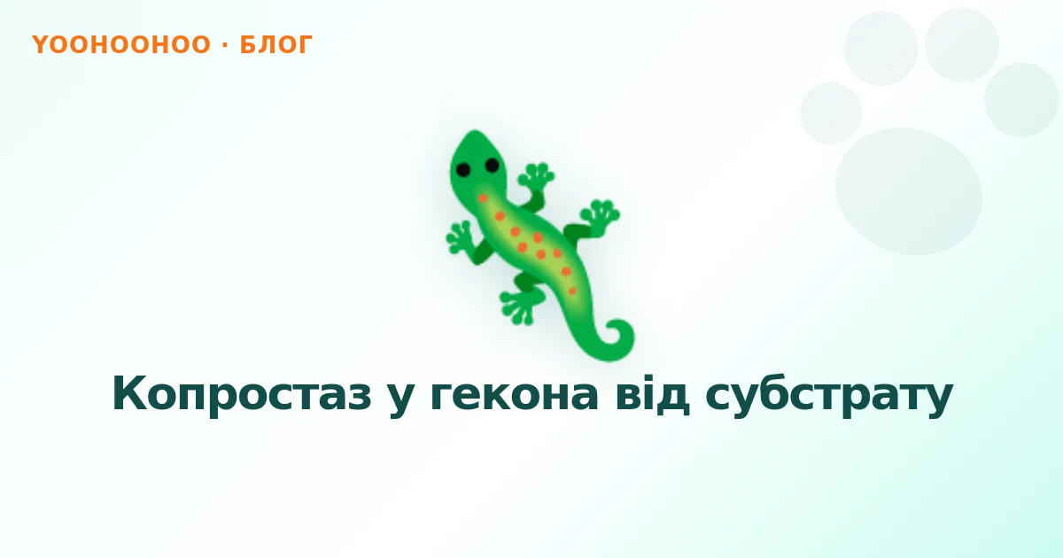 Копростаз у гекона від субстрату