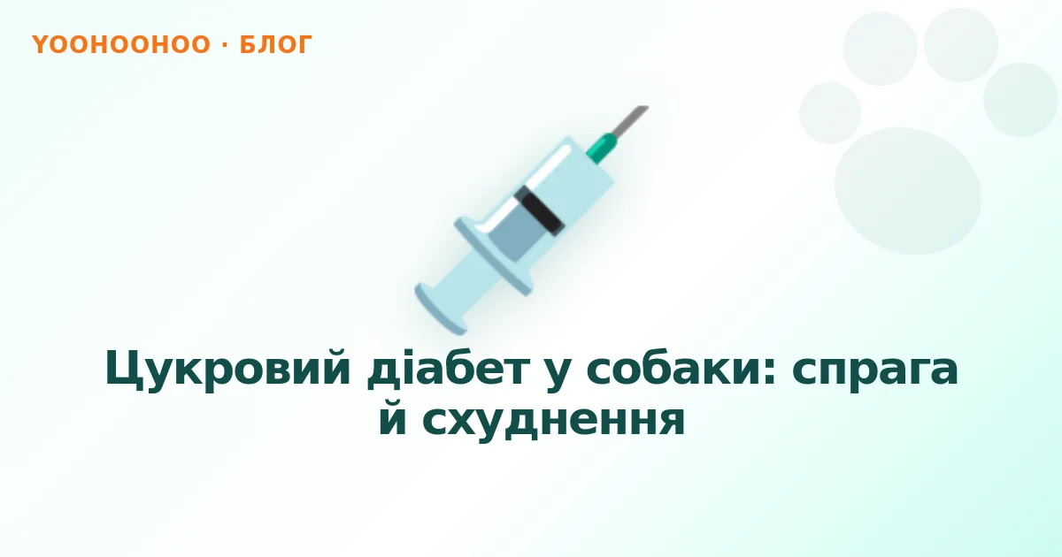 Цукровий діабет у собаки: спрага й схуднення