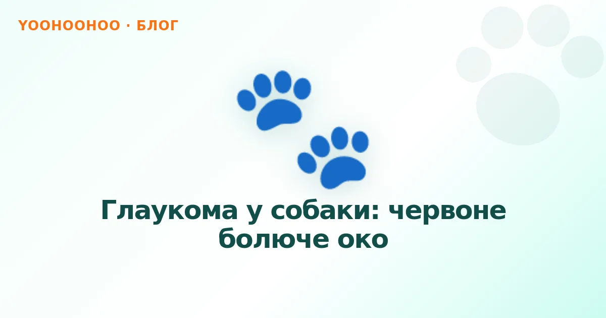 Глаукома у собаки: червоне болюче око