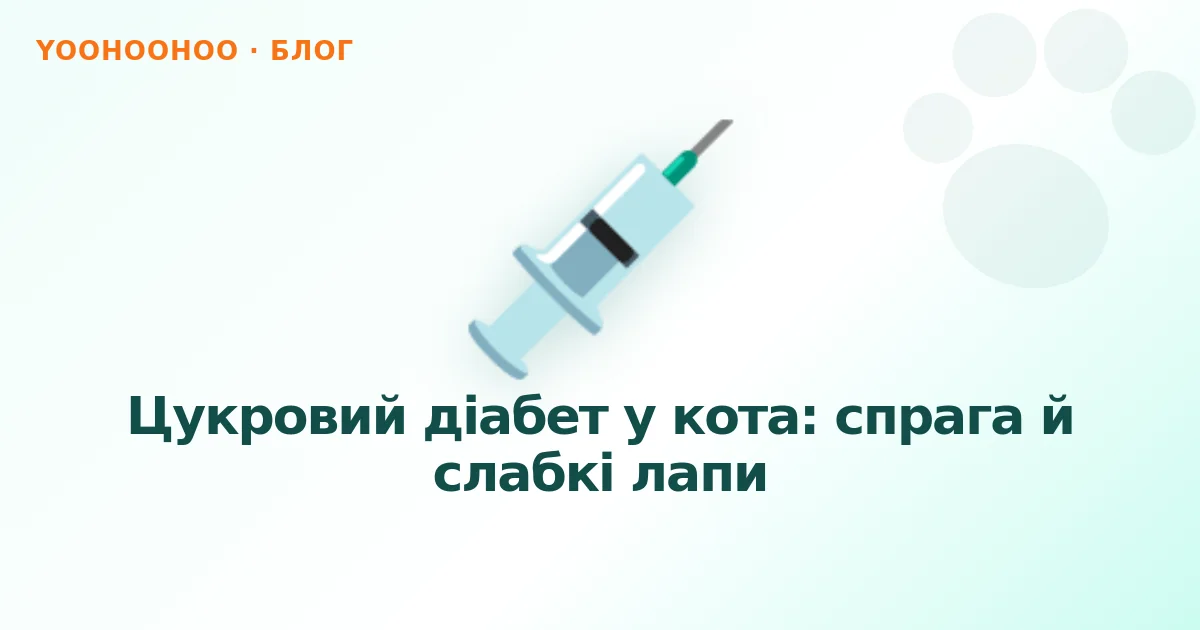 Цукровий діабет у кота: спрага й слабкі лапи
