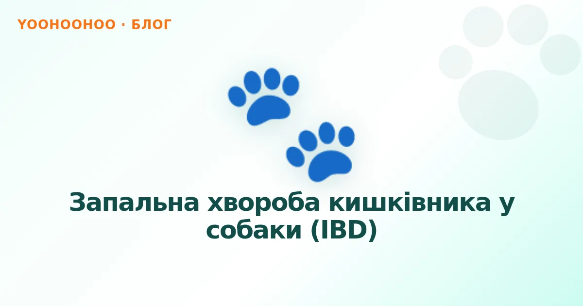 Запальна хвороба кишківника у собаки (IBD)