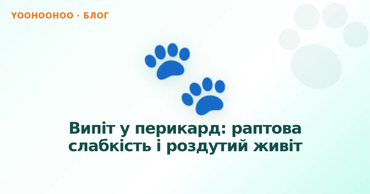 Випіт у перикард: раптова слабкість і роздутий живіт