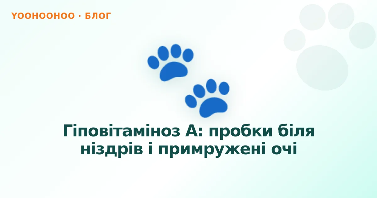 Гіповітаміноз А: пробки біля ніздрів і примружені очі