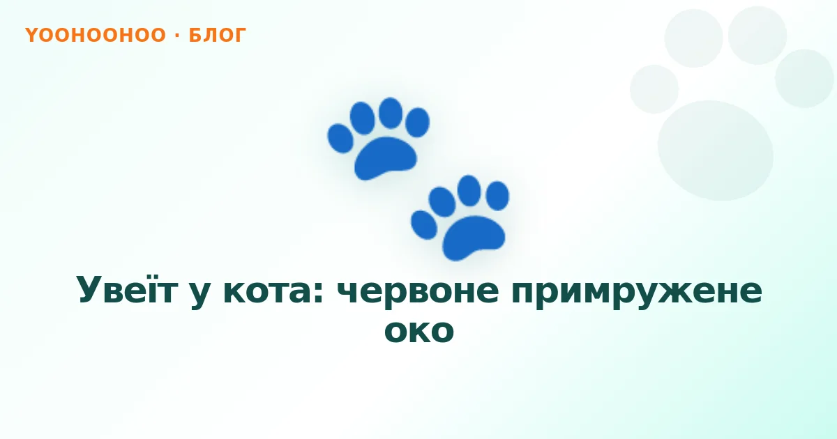 Увеїт у кота: червоне примружене око