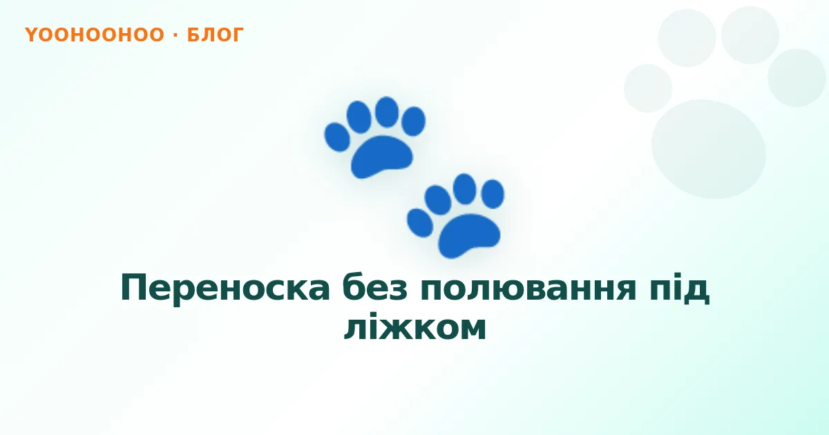 Переноска без полювання під ліжком