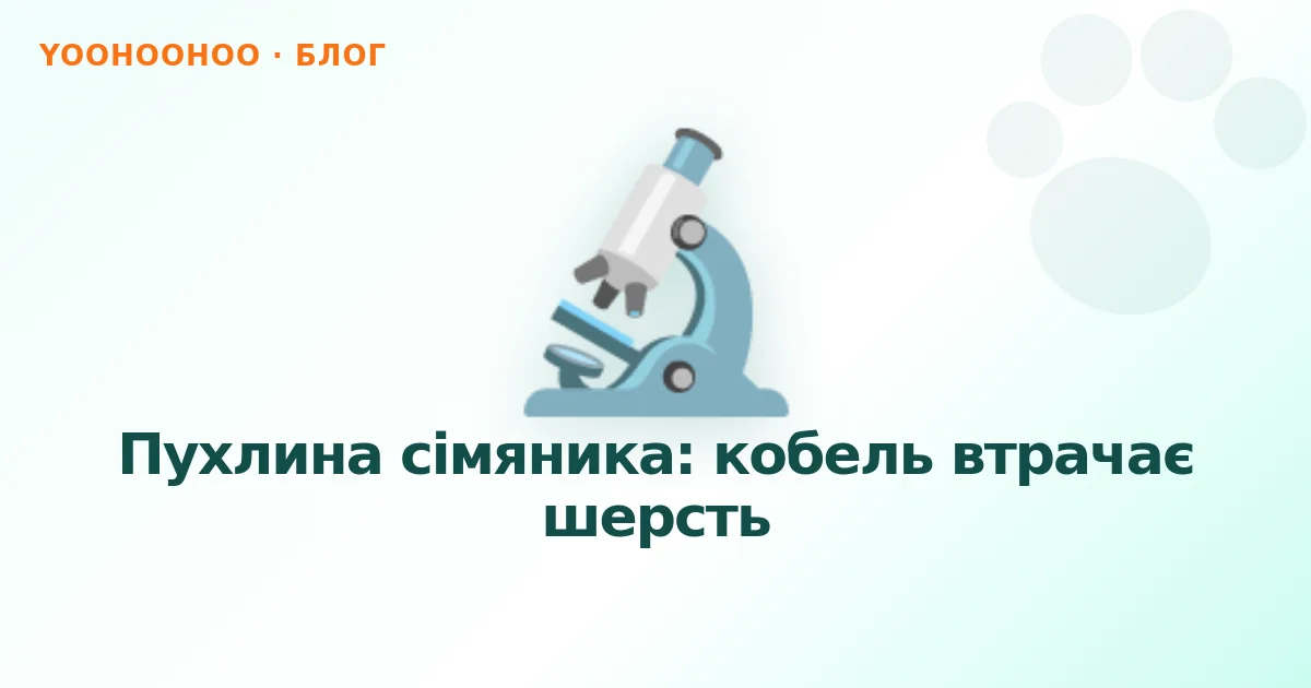 Пухлина сімяника: кобель втрачає шерсть