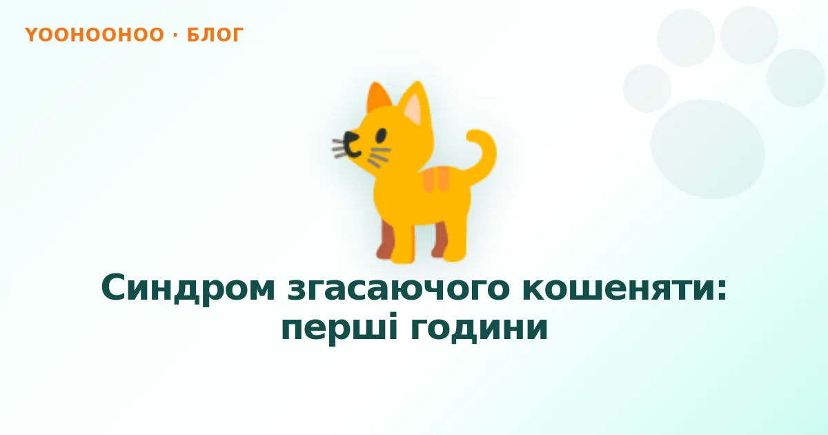 Синдром згасаючого кошеняти: перші години