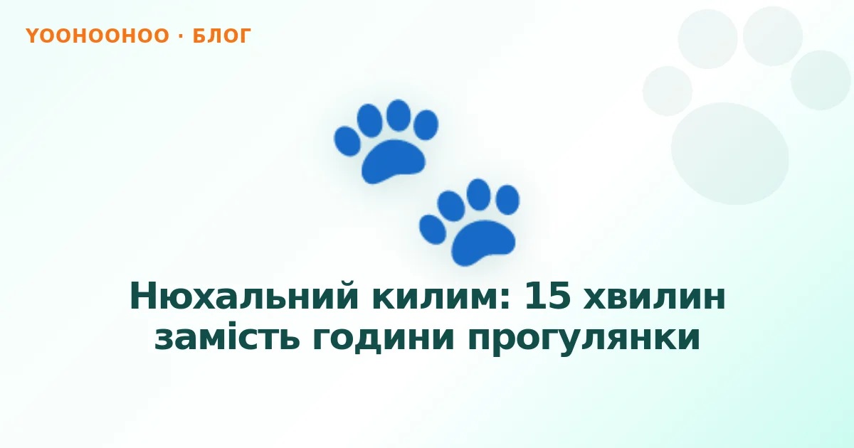 Нюхальний килим: 15 хвилин замість години прогулянки