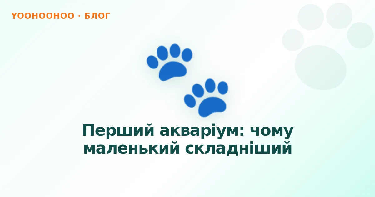 Перший акваріум: чому маленький складніший