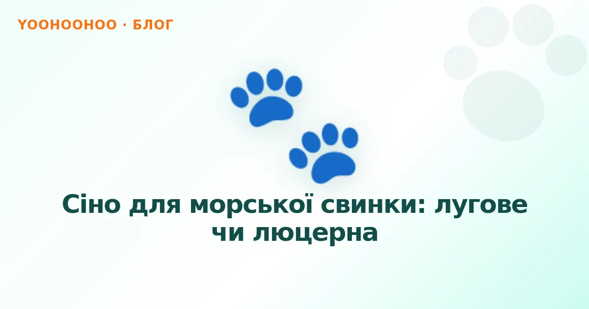 Сіно для морської свинки: лугове чи люцерна