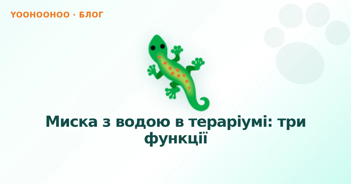 Миска з водою в тераріумі: три функції