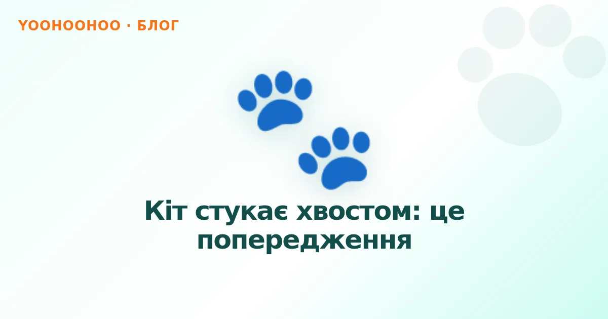 Кіт стукає хвостом: це попередження