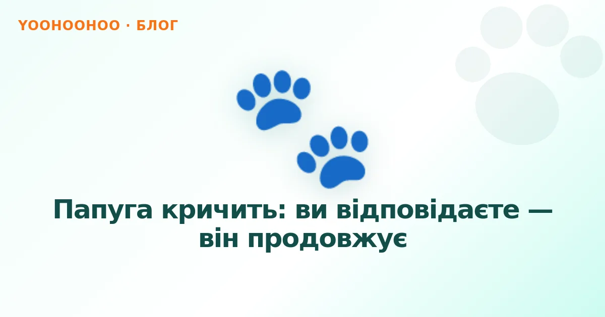 Папуга кричить: ви відповідаєте — він продовжує