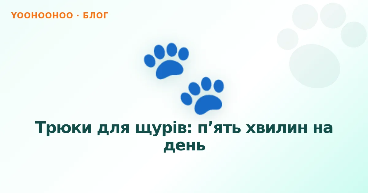 Трюки для щурів: п’ять хвилин на день