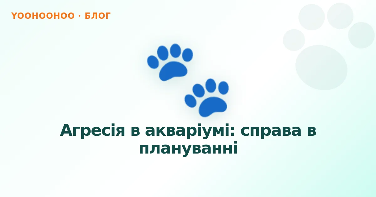 Агресія в акваріумі: справа в плануванні