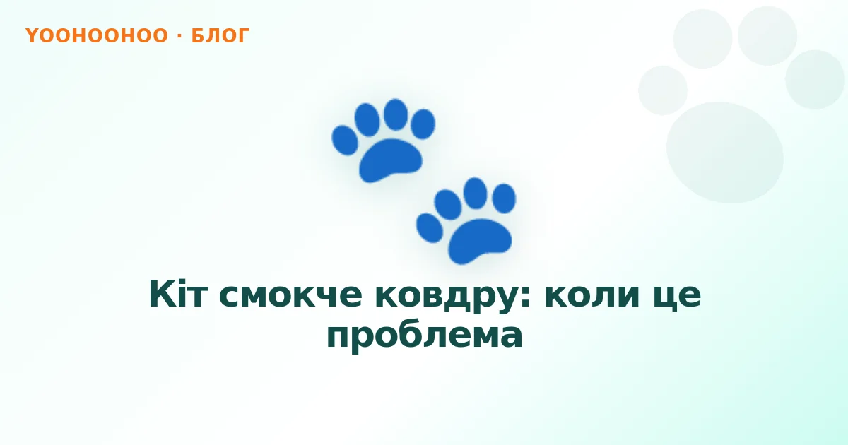 Кіт смокче ковдру: коли це проблема