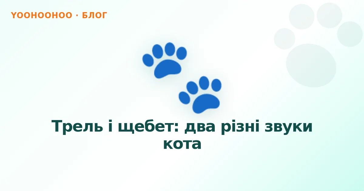 Трель і щебет: два різні звуки кота