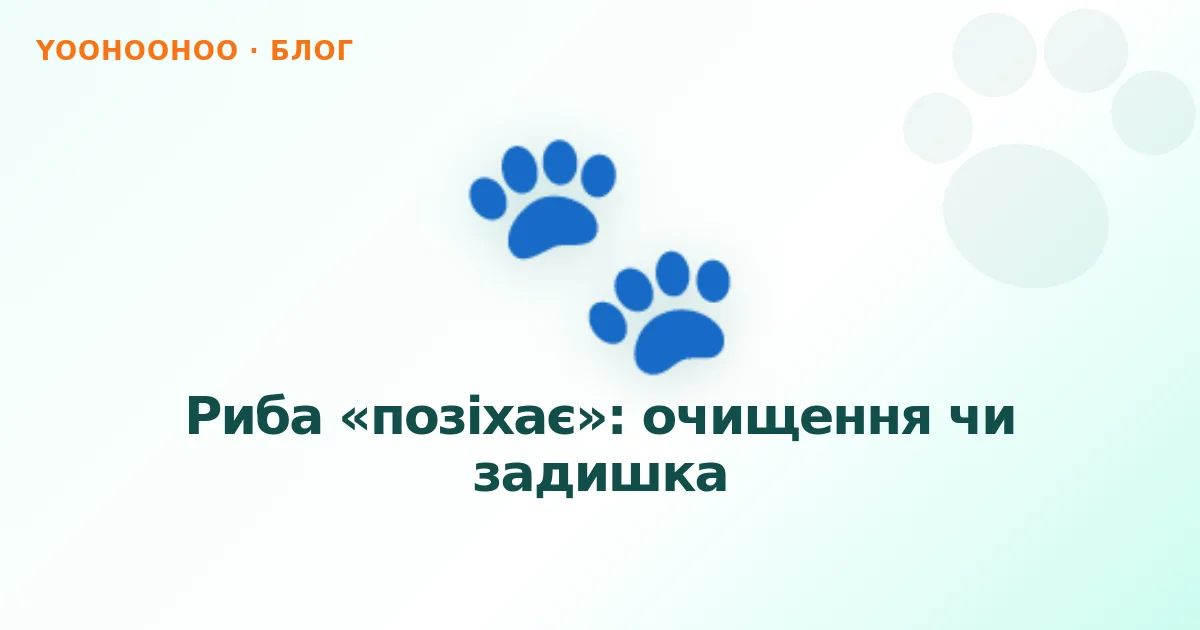 Риба «позіхає»: очищення чи задишка