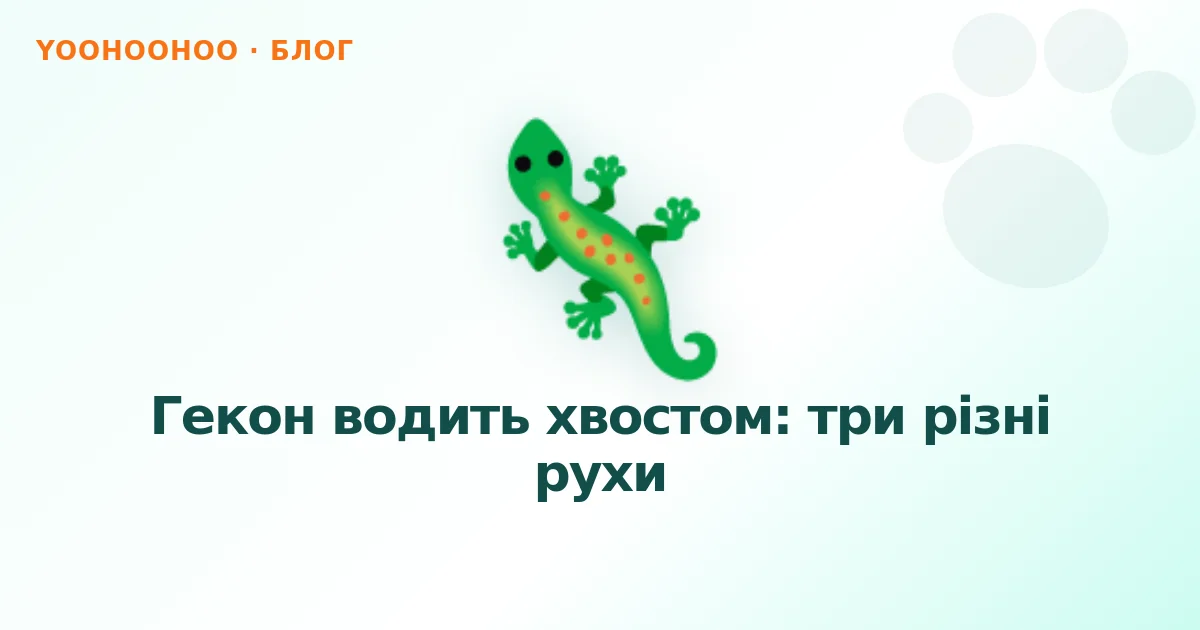 Гекон водить хвостом: три різні рухи