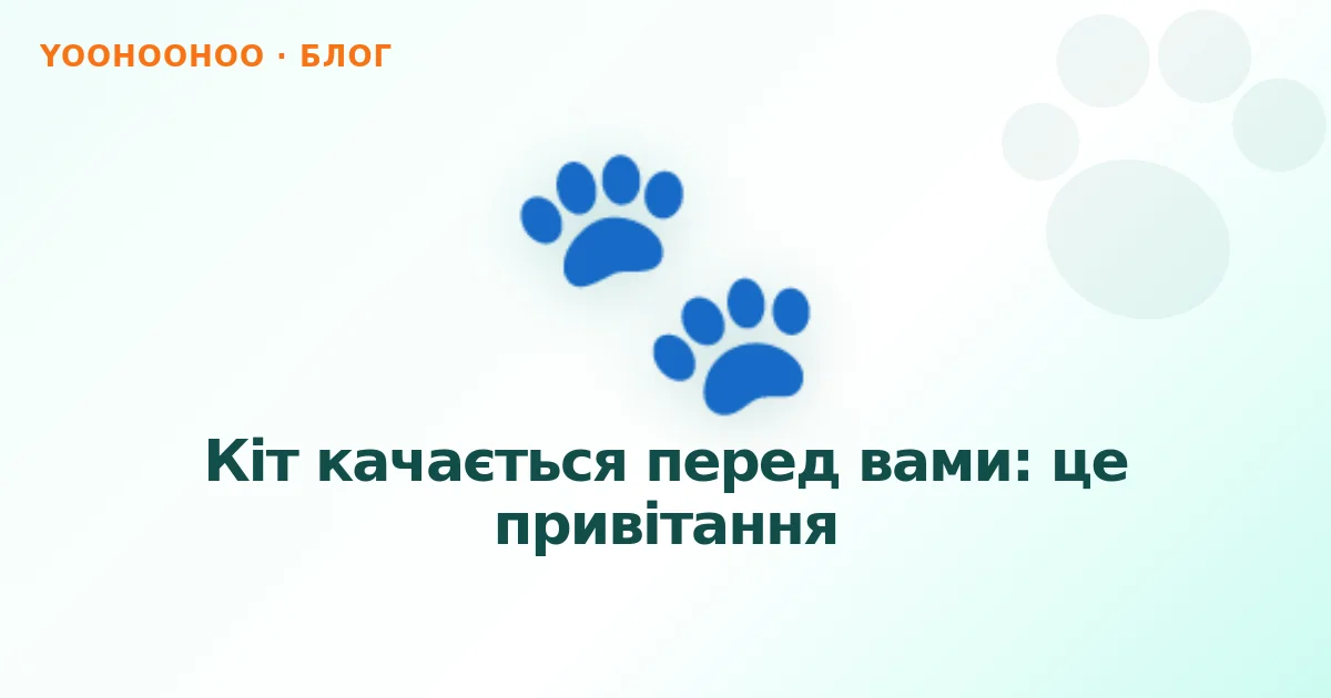 Кіт качається перед вами: це привітання