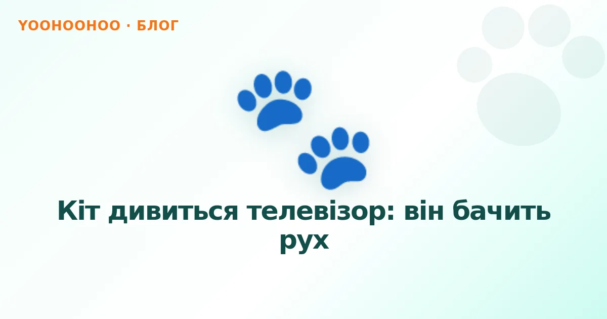 Кіт дивиться телевізор: він бачить рух