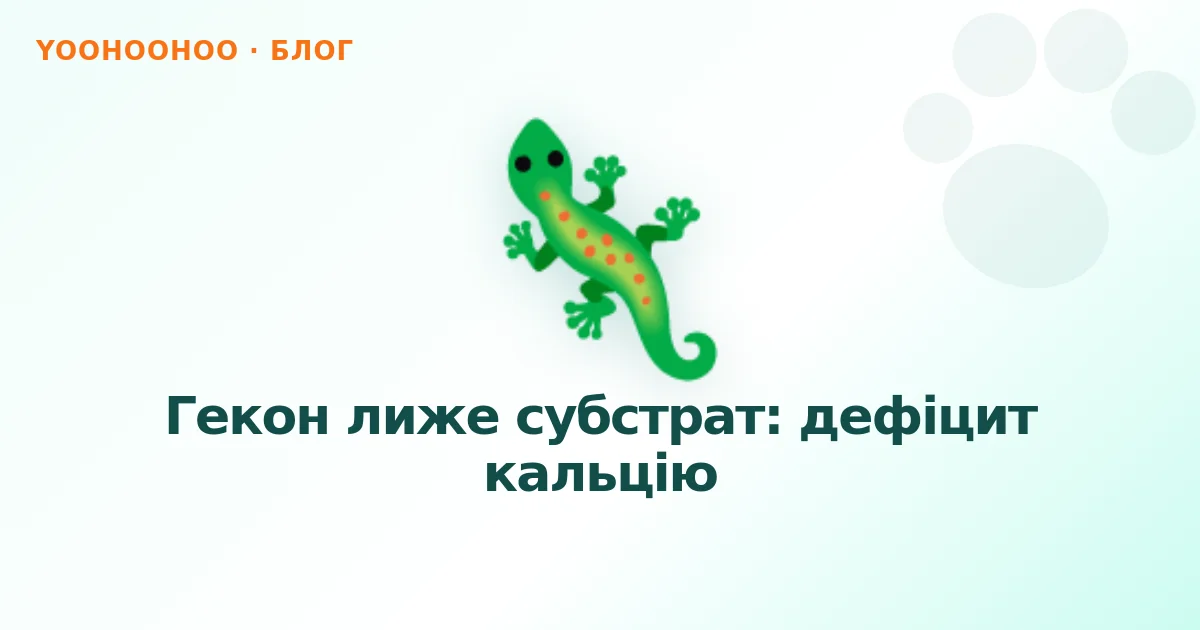 Гекон лиже субстрат: дефіцит кальцію
