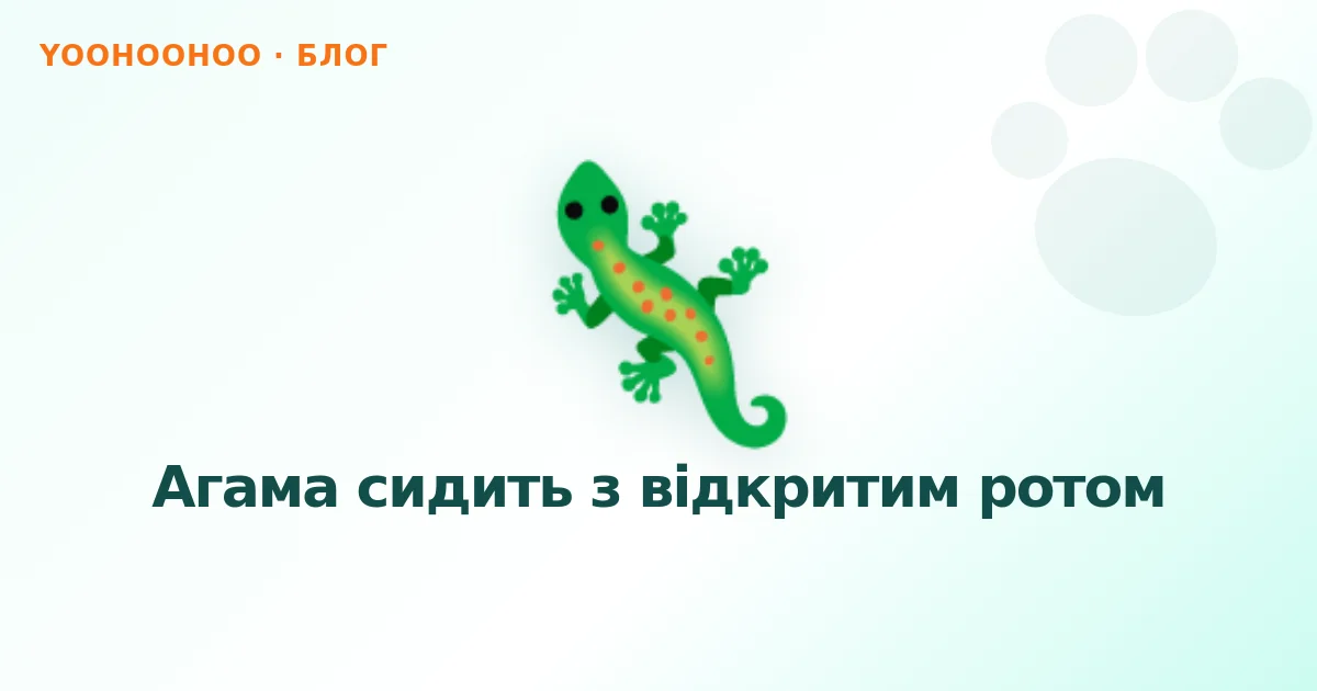Агама сидить з відкритим ротом