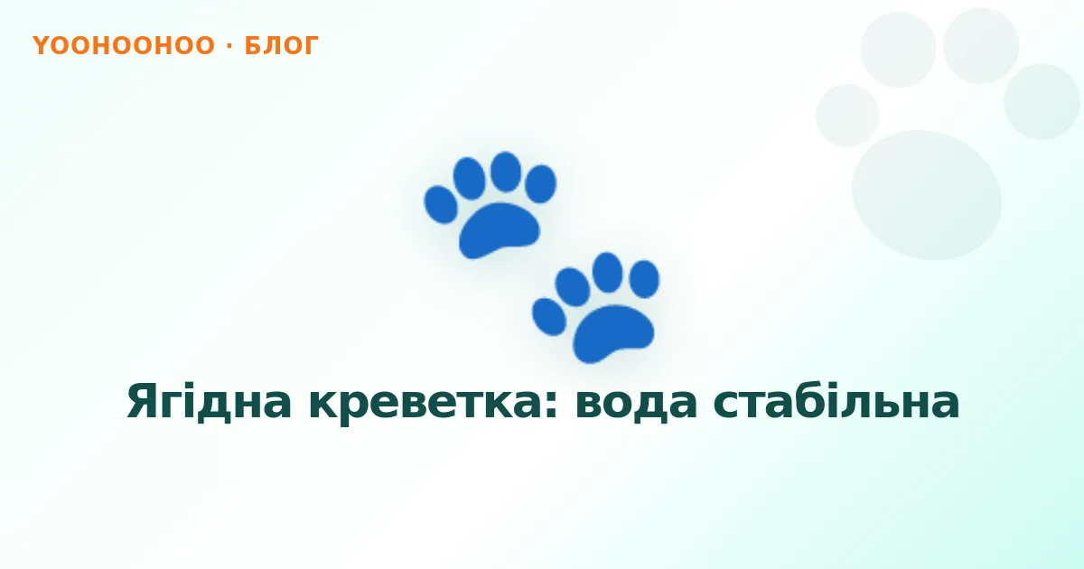 Ягідна креветка: вода стабільна
