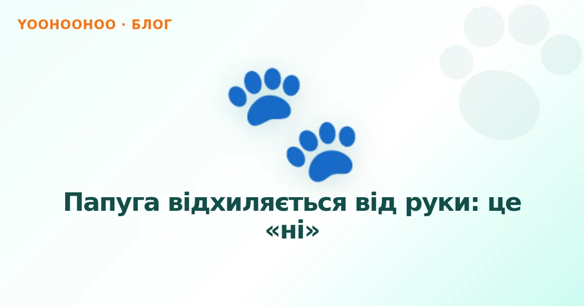 Папуга відхиляється від руки: це «ні»