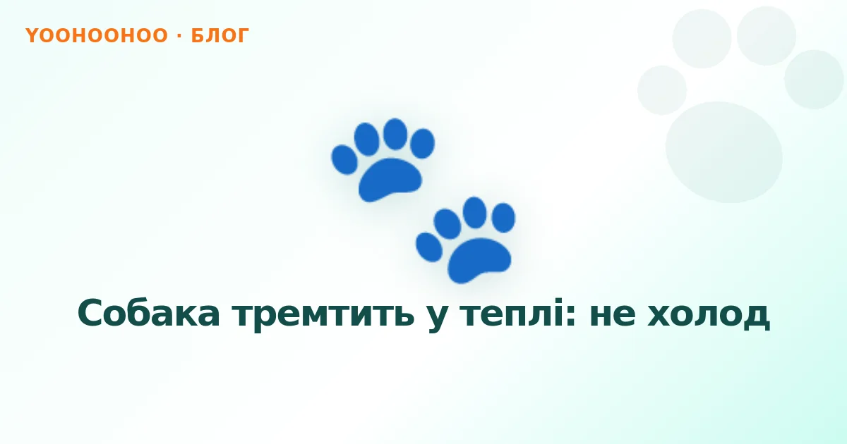 Собака тремтить у теплі: не холод