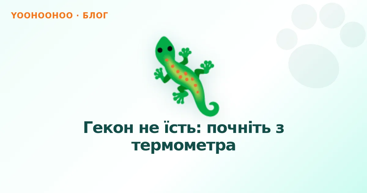 Гекон не їсть: почніть з термометра
