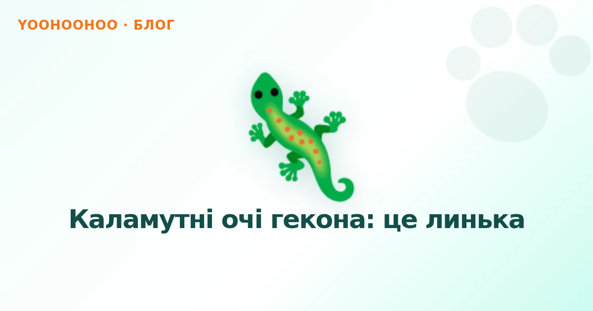 Каламутні очі гекона: це линька