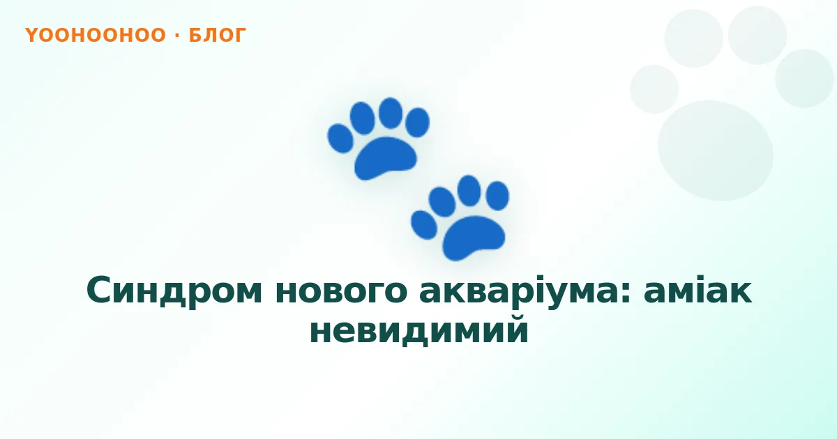 Синдром нового акваріума: аміак невидимий