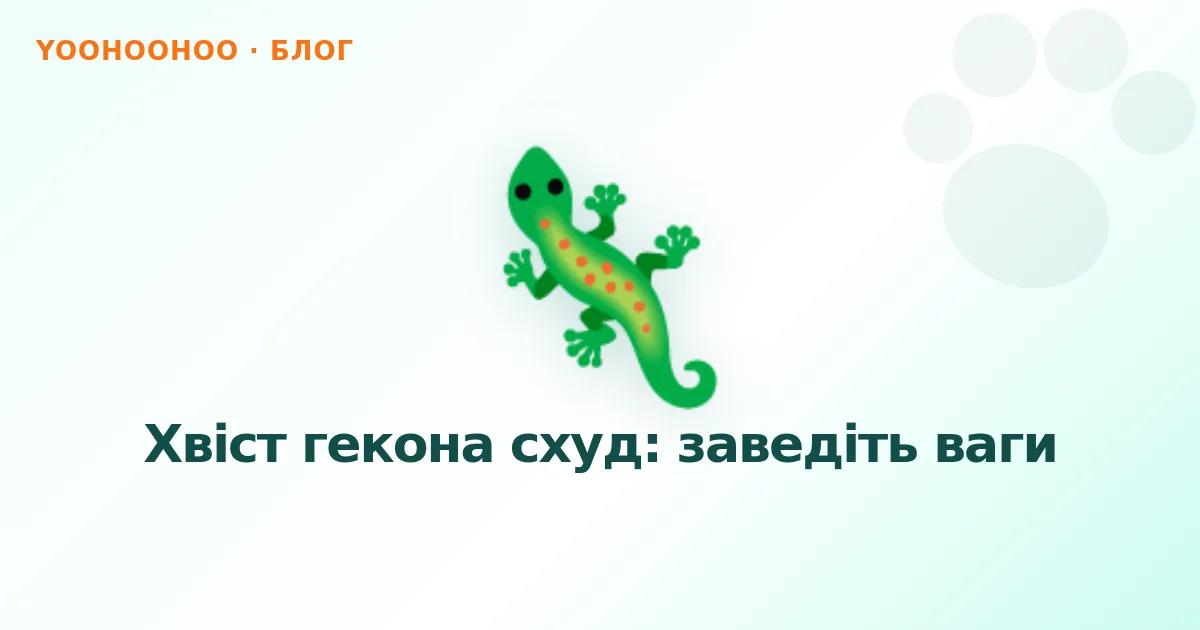 Хвіст гекона схуд: заведіть ваги