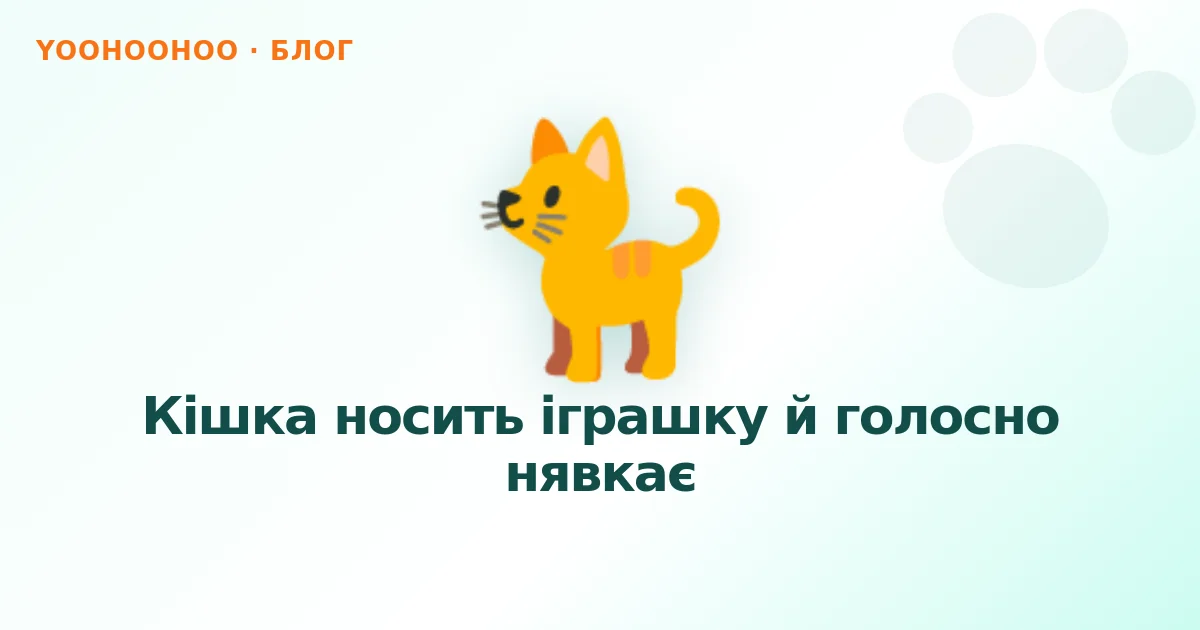 Кішка носить іграшку й голосно нявкає