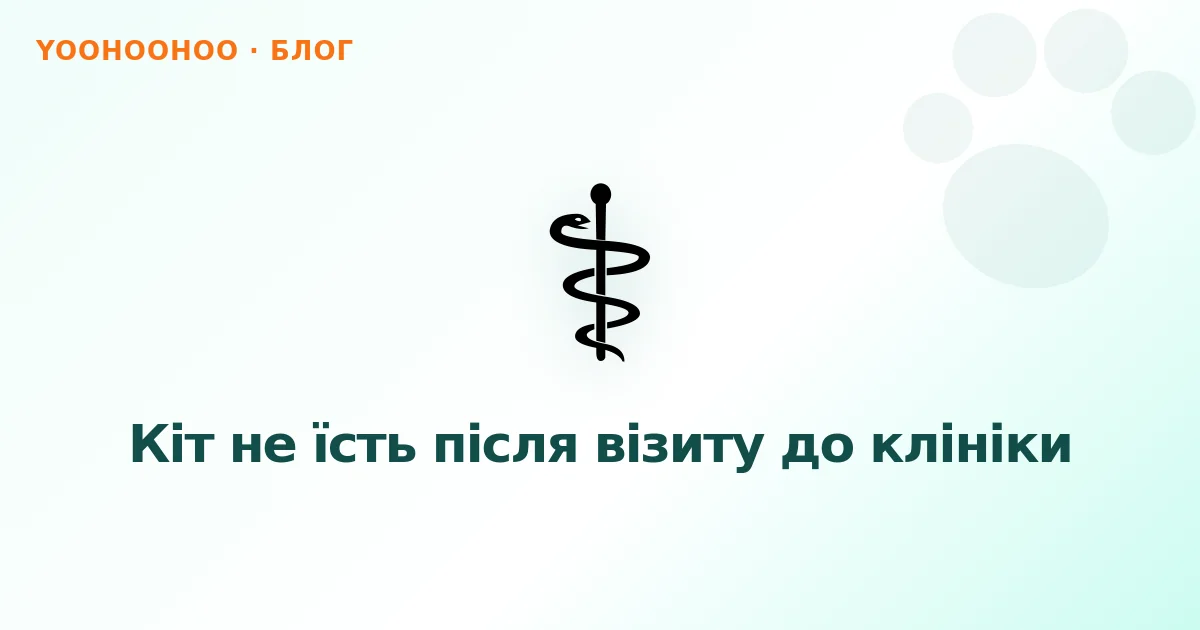 Кіт не їсть після візиту до клініки