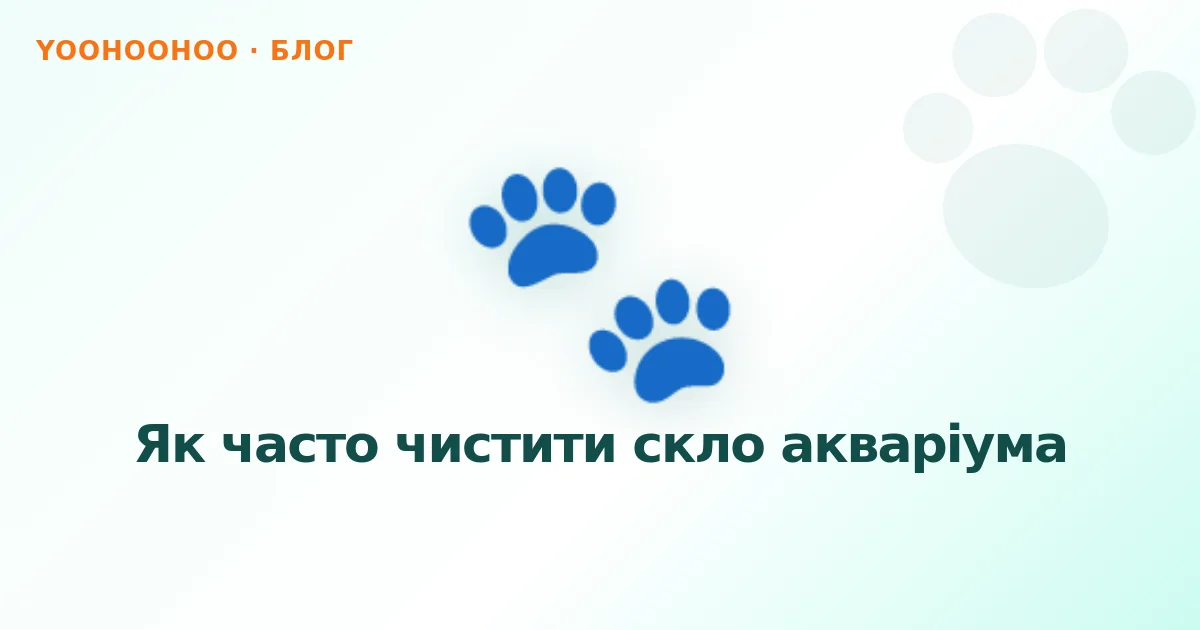 Як часто чистити скло акваріума
