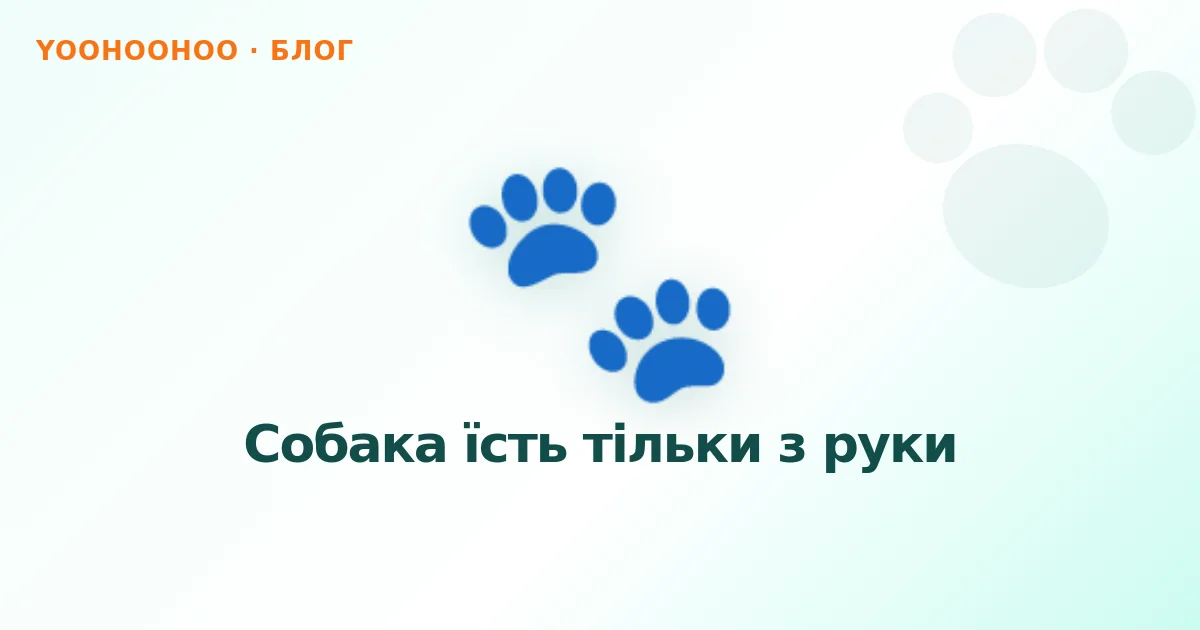 Собака їсть тільки з руки