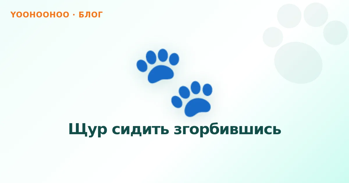 Щур сидить згорбившись